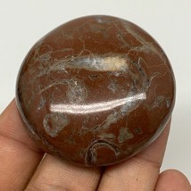 42.1g, 1.8&quot;x0.5&quot;, Natural Untreated Red Shell Fossils Round Palms-tone, ... - £4.68 GBP