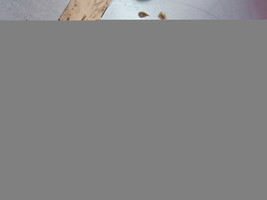 Fuel Injector Line Cylinder 3 For 01-04 GMC Sierra 2500 HD  6.6  Duramax... - $25.94