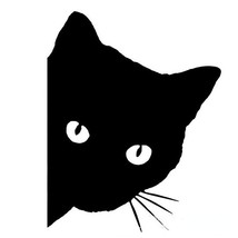 Mysterious Black Cat Car Sticker Black Cat Pee Car Stickers Funny Vinyl Decal Ca - £23.39 GBP