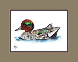 Green Winged Teal Duck Wildlife Canvas Art Print Various Border Matting Colors - £11.98 GBP+