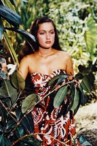 Dorothy Lamour Colorful Bare Shoulders 18x24 Poster - £19.01 GBP
