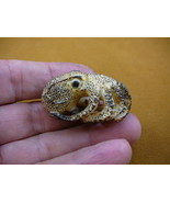 tb-octo-20) brown Octopus TAGUA NUT palm figurine Bali ocean reef octopi - $1,107.19 MXN