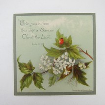 Victorian Greeting Card Easter Ladybug Green Leaves White Flowers Antiqu... - $5.99