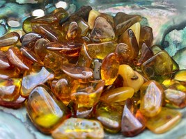 1X Amber Tumbled Stone Small 15-20mm Reiki Healing Crystal Beautiful Gol... - $3.95