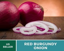 100 Seeds Onion Red Burgundy Seed Allium cepa Heirloom Vegetable Non-GMO - £15.47 GBP