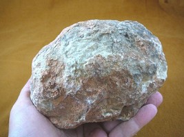 (DF844-163) 3 Lb Fossil Real Dinosaur Poop Coprolite Dino Valley Utah Dung Scat - £57.71 GBP