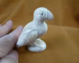 (Puff-w2) little Puffin shed ANTLER figurine Bali detailed puffling bird - $2,930.40 MXN