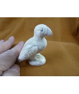 (Puff-w2) little Puffin shed ANTLER figurine Bali detailed puffling bird - $151.99
