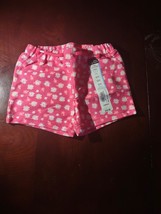 Okie Dokie Baby 6 Months Daisy Girls Shorts - $9.90