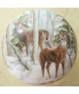 Cabinet Knobs Buck Whitetail Deer Wildlife #6 - $98.83 MXN