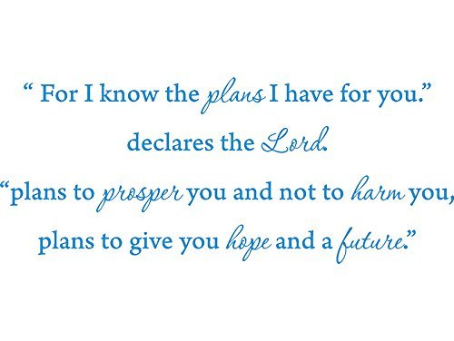 Primary image for Picniva for I Know The Plans i Have for You, declares The Lord. Vinyl Wall Art H