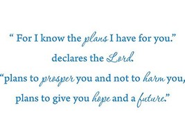Picniva for I Know The Plans i Have for You, declares The Lord. Vinyl Wa... - $19.55