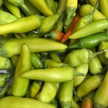 Pepperoncini Italian Pepper Seeds 25+ MILD Vegetable NON-GMO HEIRLOOM  - £1.48 GBP