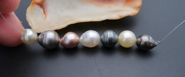 7pc Organic Mixed Pearl Set; Tahitian, South Sea &amp; Freshwater Pearls - 42.65 cts - $69.00