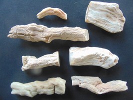 collection of petrified wood branch limb casts - $27.03