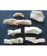 collection of petrified wood branch limb casts - £17.21 GBP