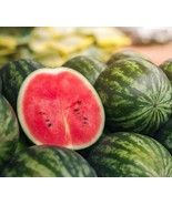 THJAR Greybelle Watermelon Seeds | Heirloom | Non-Gmo | Fresh Garden Seeds - $112.75 MXN