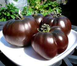 HeirloomSupplySuccess Heirloom Black Prince Great Garden Beefsteak Tomato Seeds  - £4.73 GBP