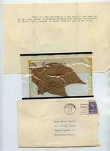 1950 Galveston Texas Letter Containing Bohemian Hop Leaf &amp; Hops Blossom - $27.72