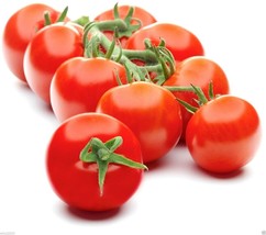 15 Organic Campari Tomato Seeds Fresh Gardening USA Shipping - £9.79 GBP