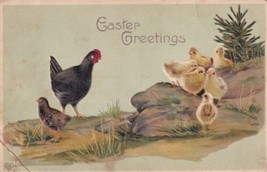 Easter Greeting Black Hen Seven Chicks 1910 Carl Junction Missouri Postcard D55 - £2.35 GBP