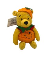 Winnie the Pooh Halloween Pumpkin Outfit Beanie Toy NWT Disney Store vin... - €8,26 EUR