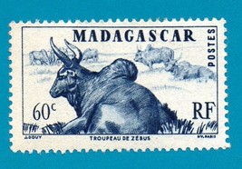 Used Madagascar Postage Stamp (1946) Herd of Zebus Scott # 273   - $1.99