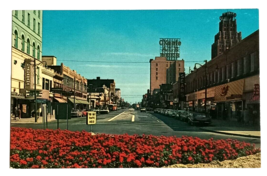 Fall Street View Old Cars OKeefe Niagara Falls NY Colourpicture Postcard... - $9.99