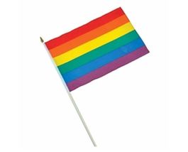 Rainbow Pride 12x18 Inch Stick Flag - £3.97 GBP
