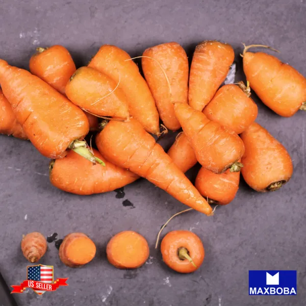 1000 Carrot Seeds - Chantenay Red Core Non-Gmo Heirloom Vegetable Garden - $7.98