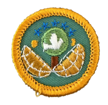Girl Scout Junior Outdoors Dabbler Badge Camping Hiking Exploring Patch ... - $5.89