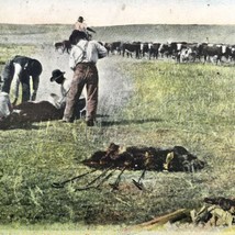 Lakota Branding Calves On The Open Range Postcard Antique Vintage - £9.67 GBP