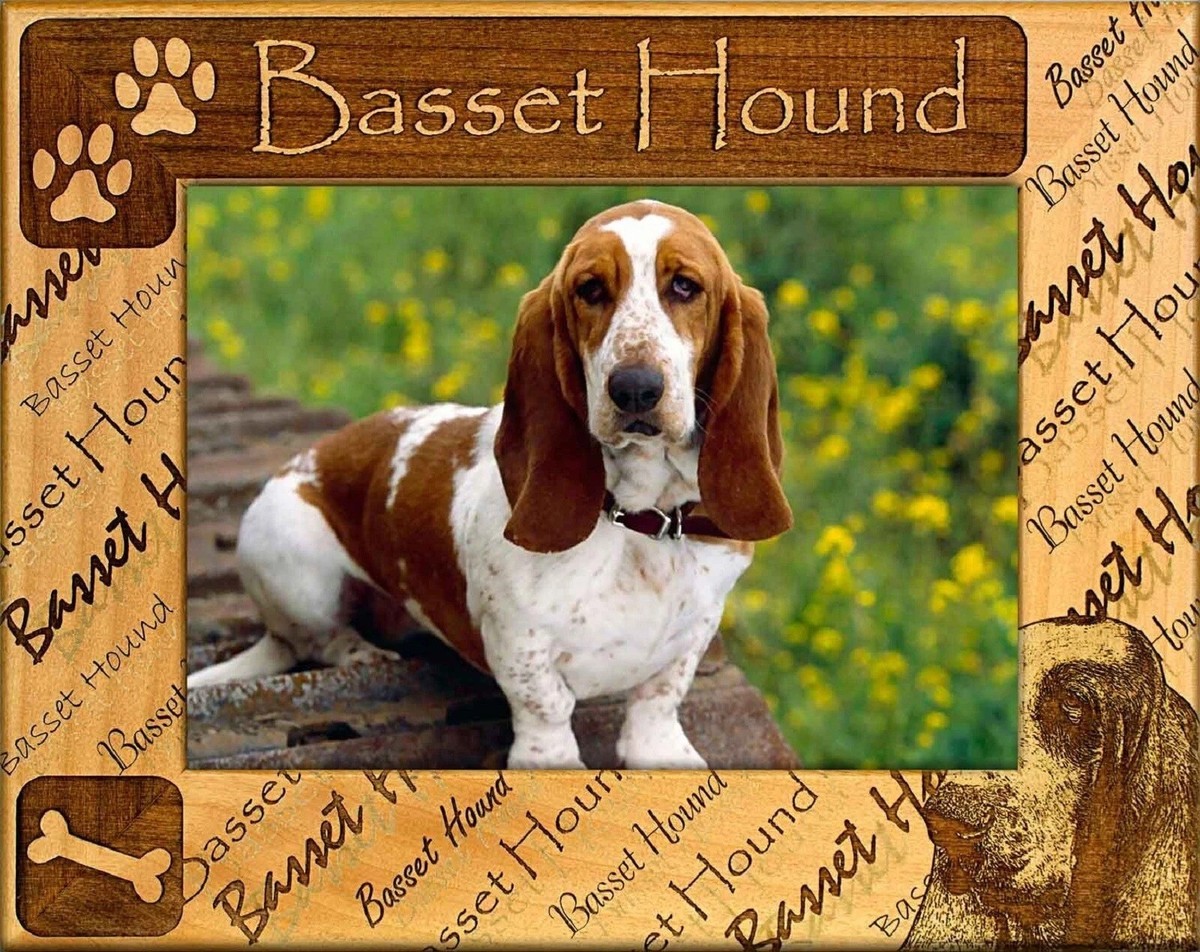 Basset Hound Laser Engraved Wood Picture Frame Landscape (3 x 5) - $25.99