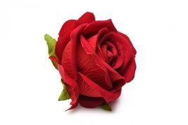 Bloomgasm the rose lovers gift box red - £55.26 GBP+