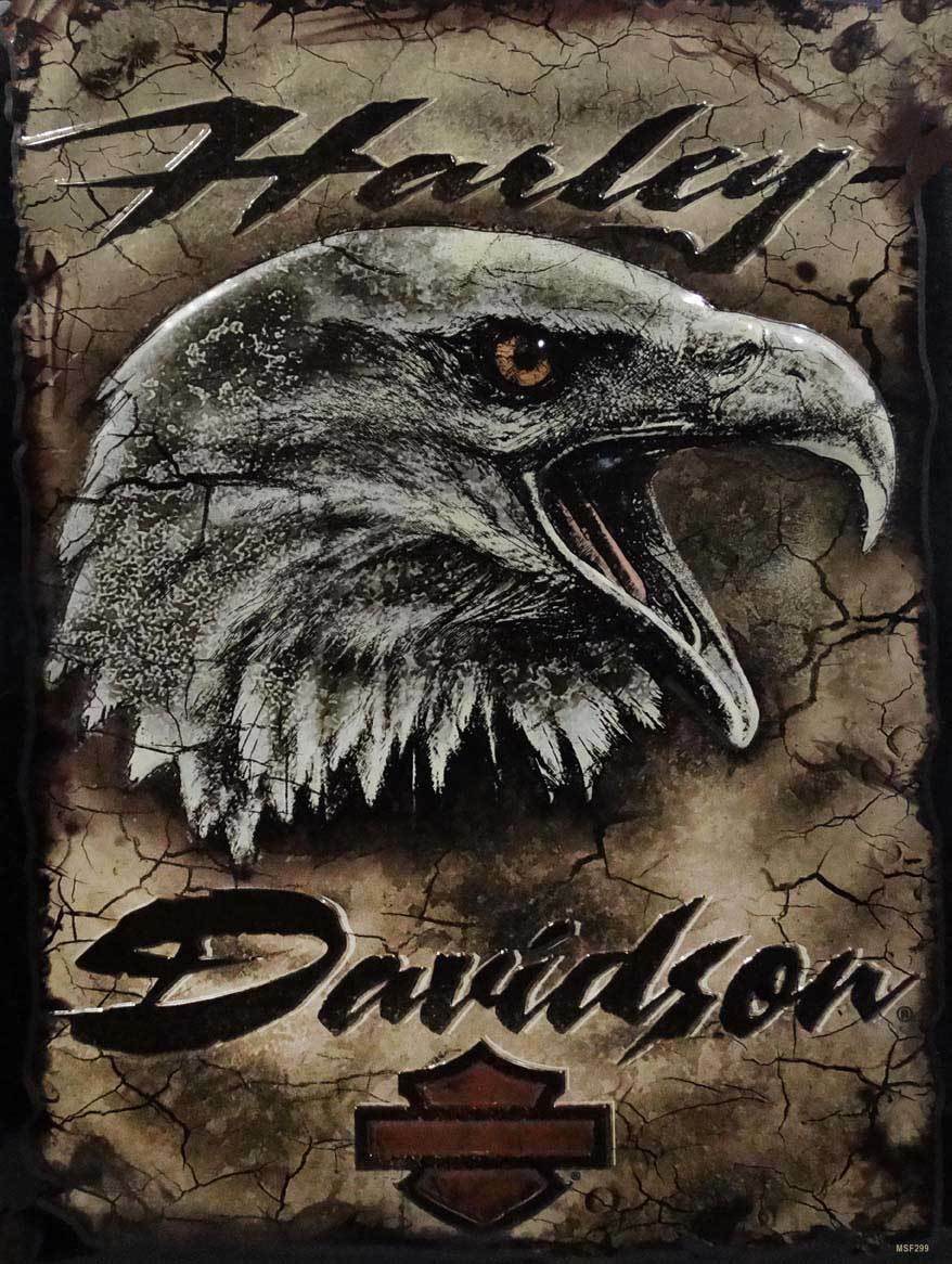 Eagle Head Rustic Harley Davidson Motorcycle Metal Sign - $39.95
