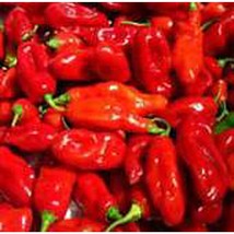 Datil Sweet Hot Peppers Seeds Fresh Seeds USA - $12.80