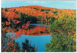 Postcard Looking Across Brewer Lake Algonquin Park 4 1/2&quot; x 6 1/2 - £3.08 GBP