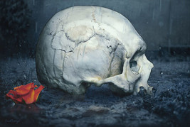 RIP Daniel Esparza Art Canvas Giclee  Dia de Los Muertos Skull Rose Rain - £58.92 GBP+