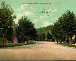 Upper Grant Avenue Vandergrift Pennsylvania PA 1910 DB Postcard - $3.51
