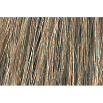 Tressa Colourage Haircolor, 8A Medium Smoke Ash Blonde (2 Oz.) - $13.80