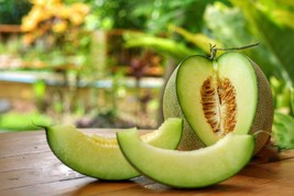 150+ Seeds Honeydew Melon Seeds for Planting Fresh Garden Seeds - £21.11 GBP