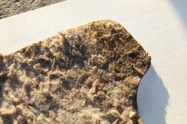 2000-2002 TOYOTA CELICA GT GT-S REAR TRUNK FLOOR LINING CARPET 2513 image 9