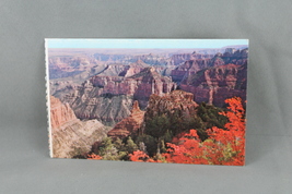 Vintage Postcard - The Grand Canyon Autumn on the North Rim - Petey - $15.00