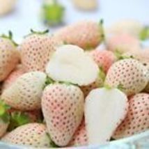 White Strawberry Seeds Pineberry Hula berry Alpine berry USA 100+ Seeds - £6.85 GBP