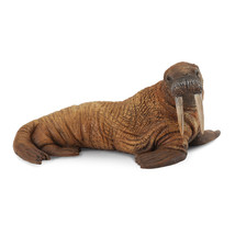 CollectA Walrus Figure (Large) - $413.77 MXN