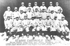 1916 ST. LOUIS CARDINALS 8X10 TEAM PHOTO BASEBALL PICTURE MLB - $4.94