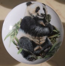Cabinet Knobs Giant  Panda Bear cub Wildlife - $5.20