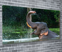 Playful Elephant Canvas Print Animal Wall Art 55x24 Inch Ready To Hang  - £71.61 GBP