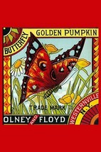 Butterfly Golden Pumpkin - Art Print - £17.29 GBP+