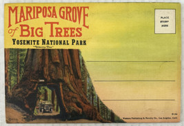 Mariposa Grove of Big Trees Yosemite National Park 18 Postcard Souvenir Folder - £7.74 GBP